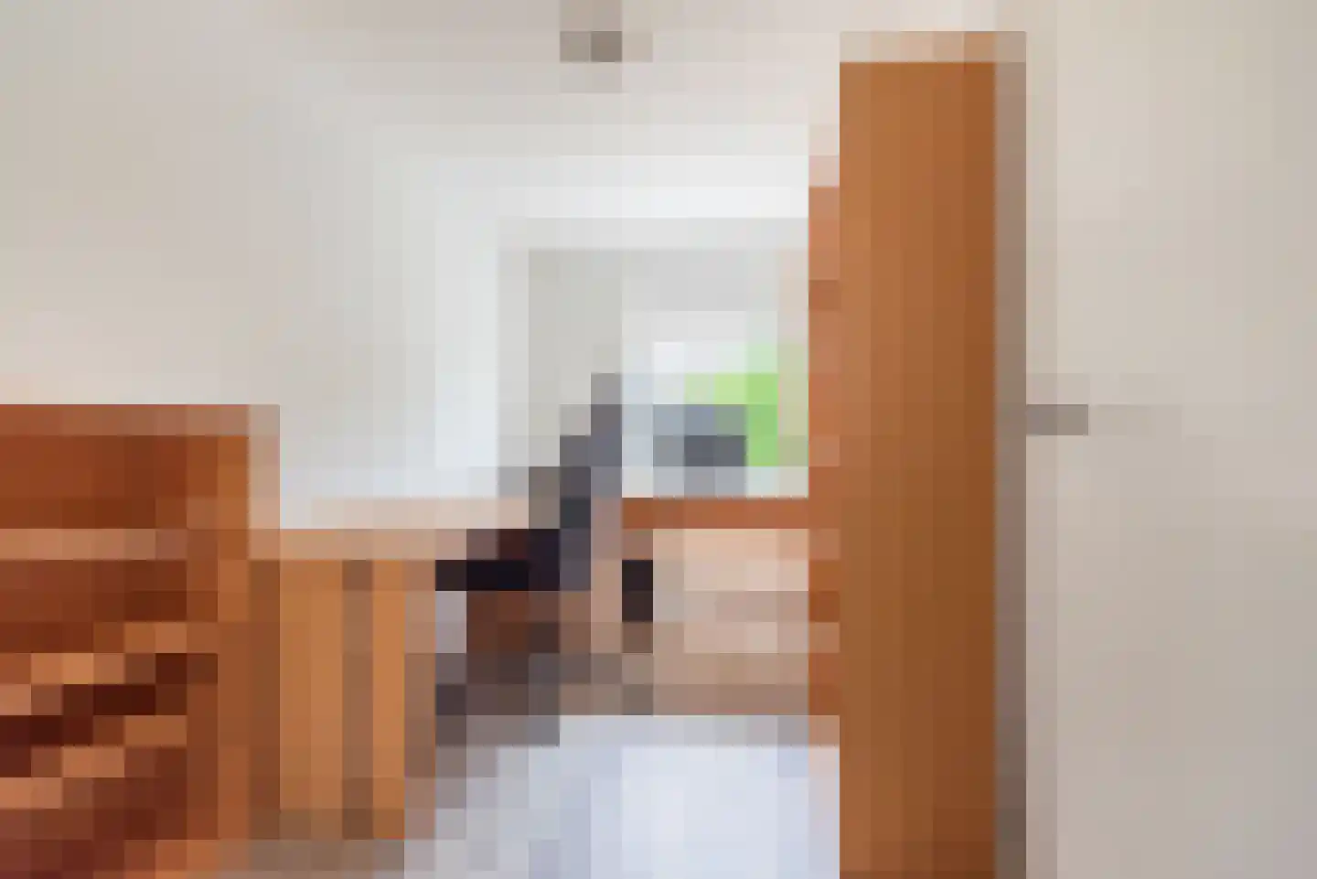 De Ruiterij 45 Dinxperlo thumbnail 24