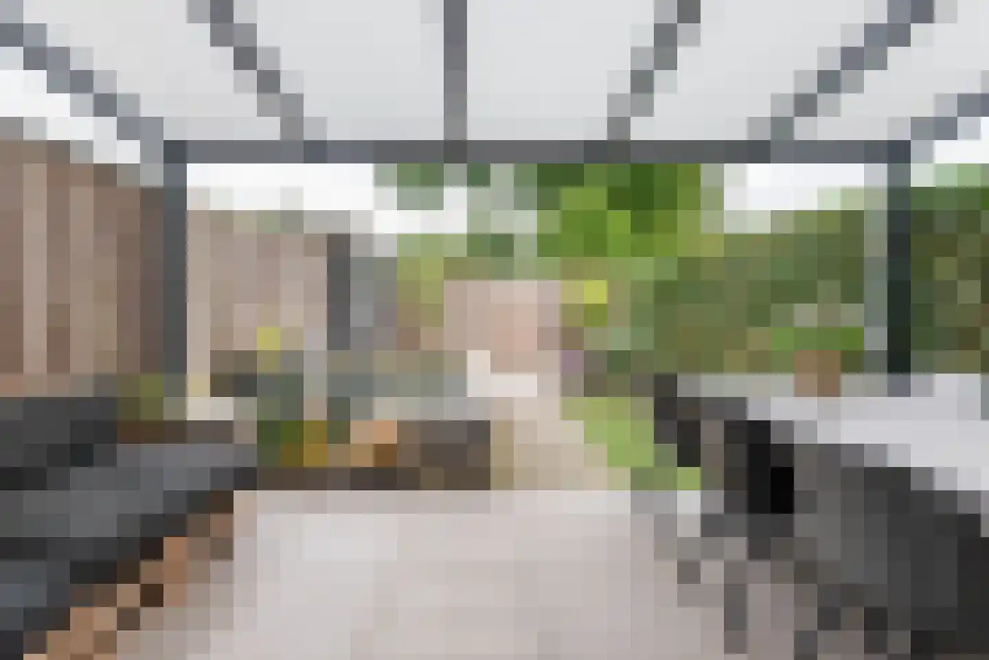 De Ruiterij 45 Dinxperlo thumbnail 32