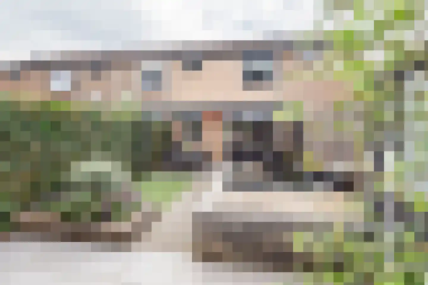 De Ruiterij 45 Dinxperlo thumbnail 36