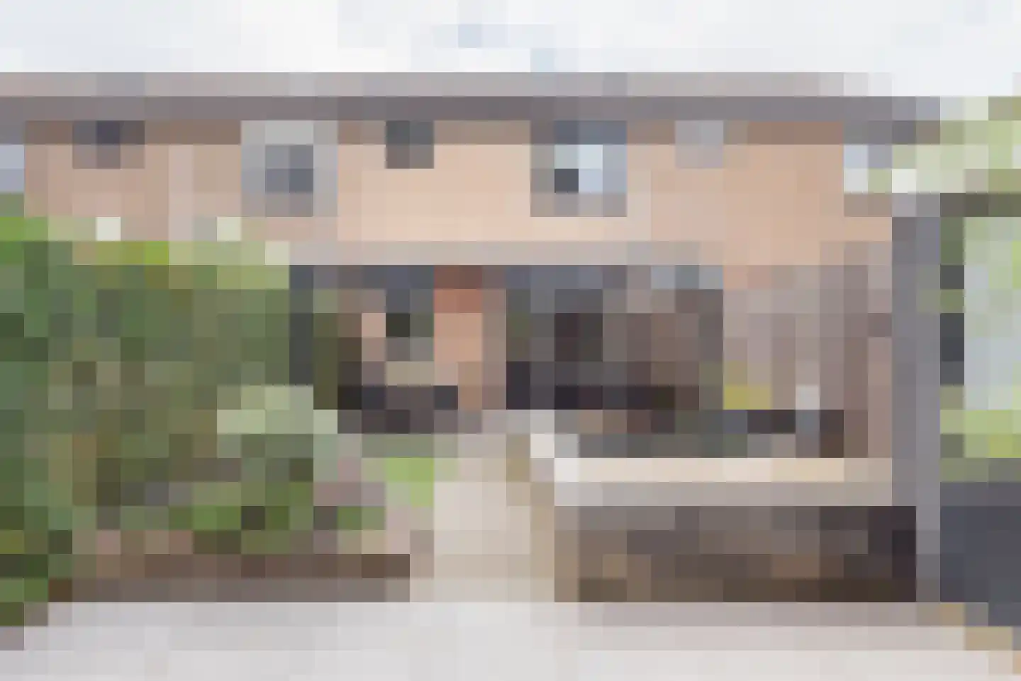 De Ruiterij 45 Dinxperlo thumbnail 37