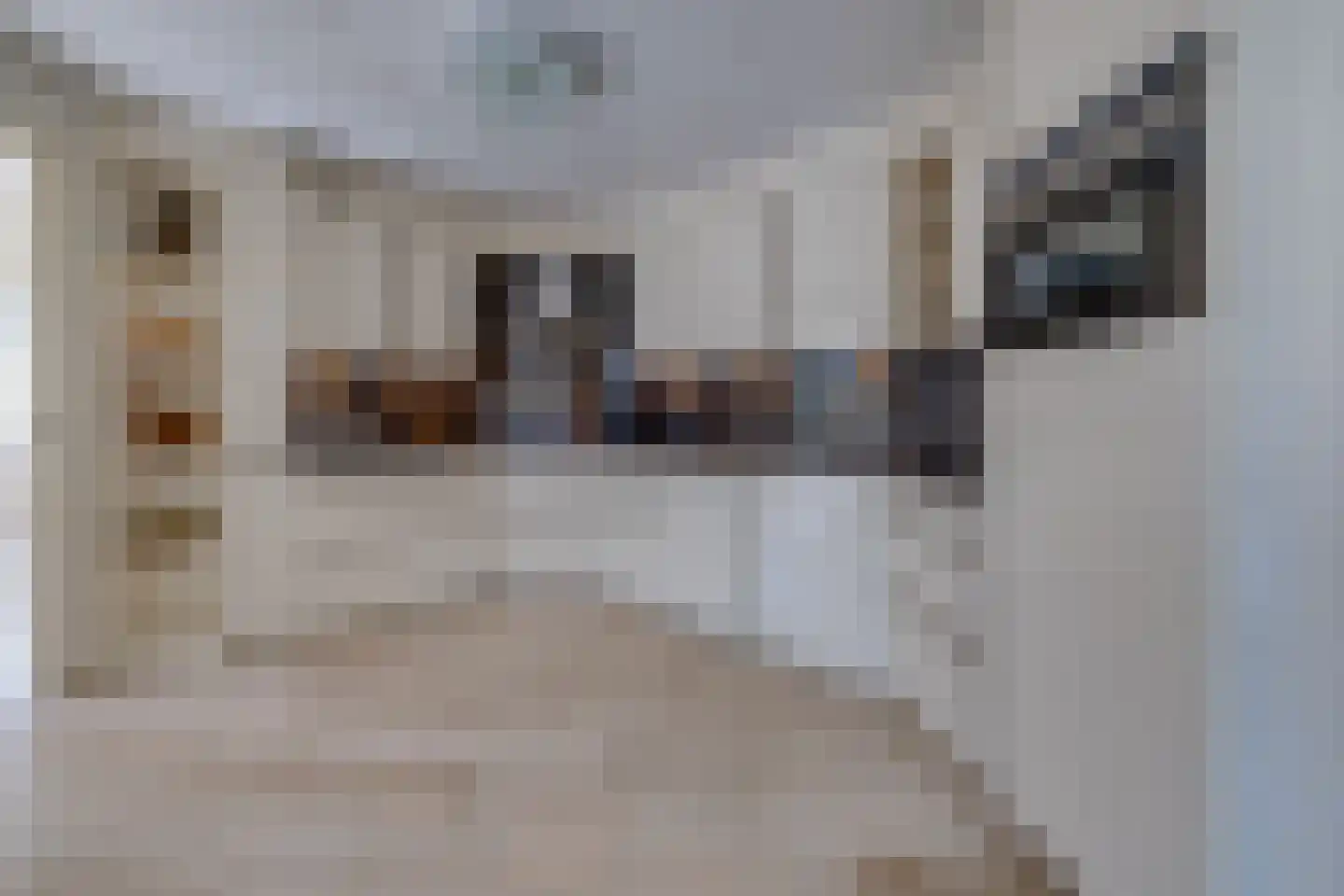 De Runde 13 Ter Apel thumbnail 17
