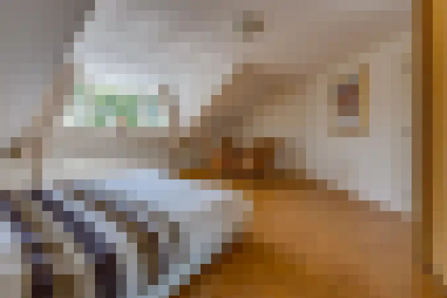 De Runde 13 Ter Apel thumbnail 39