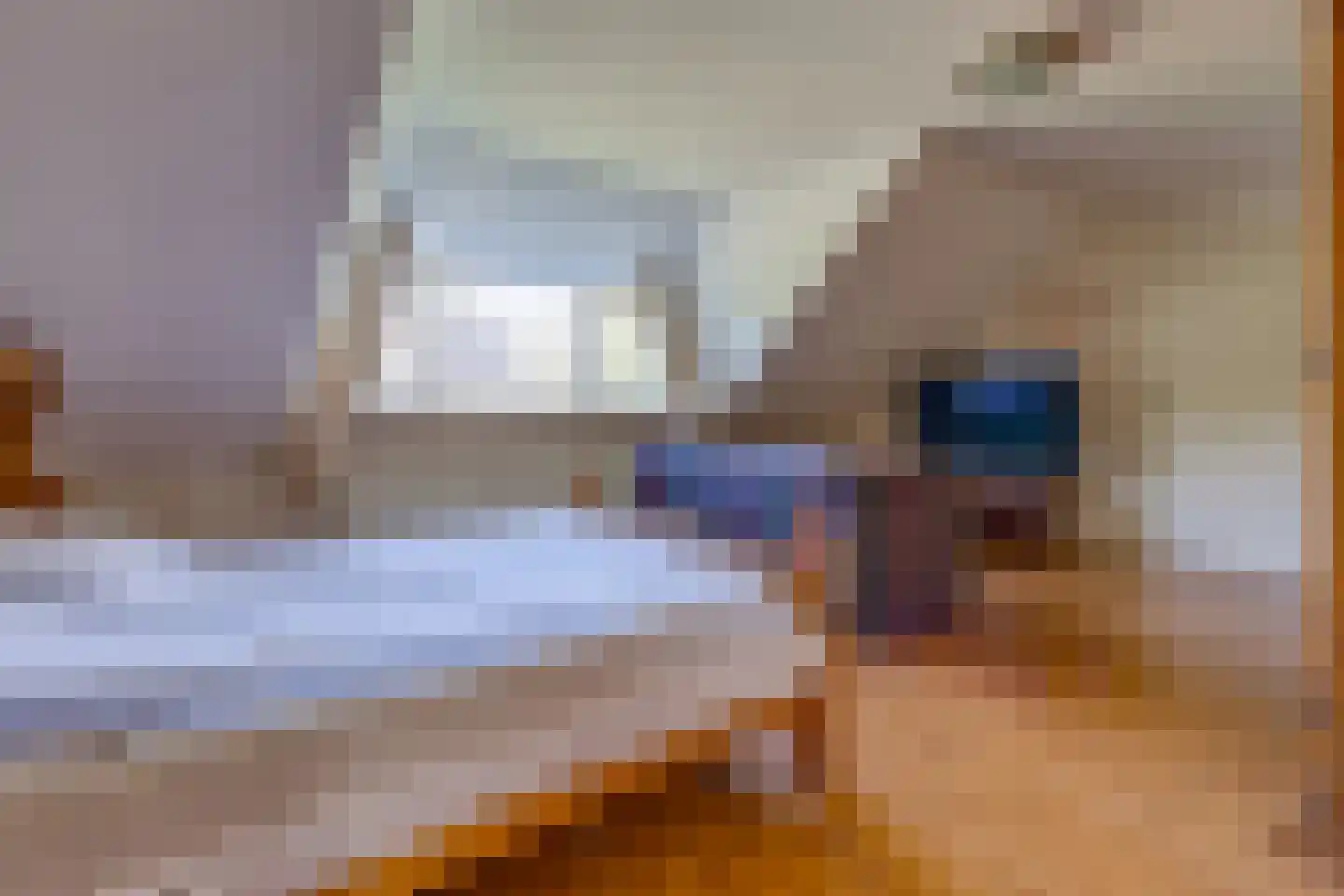 De Runde 13 Ter Apel thumbnail 43
