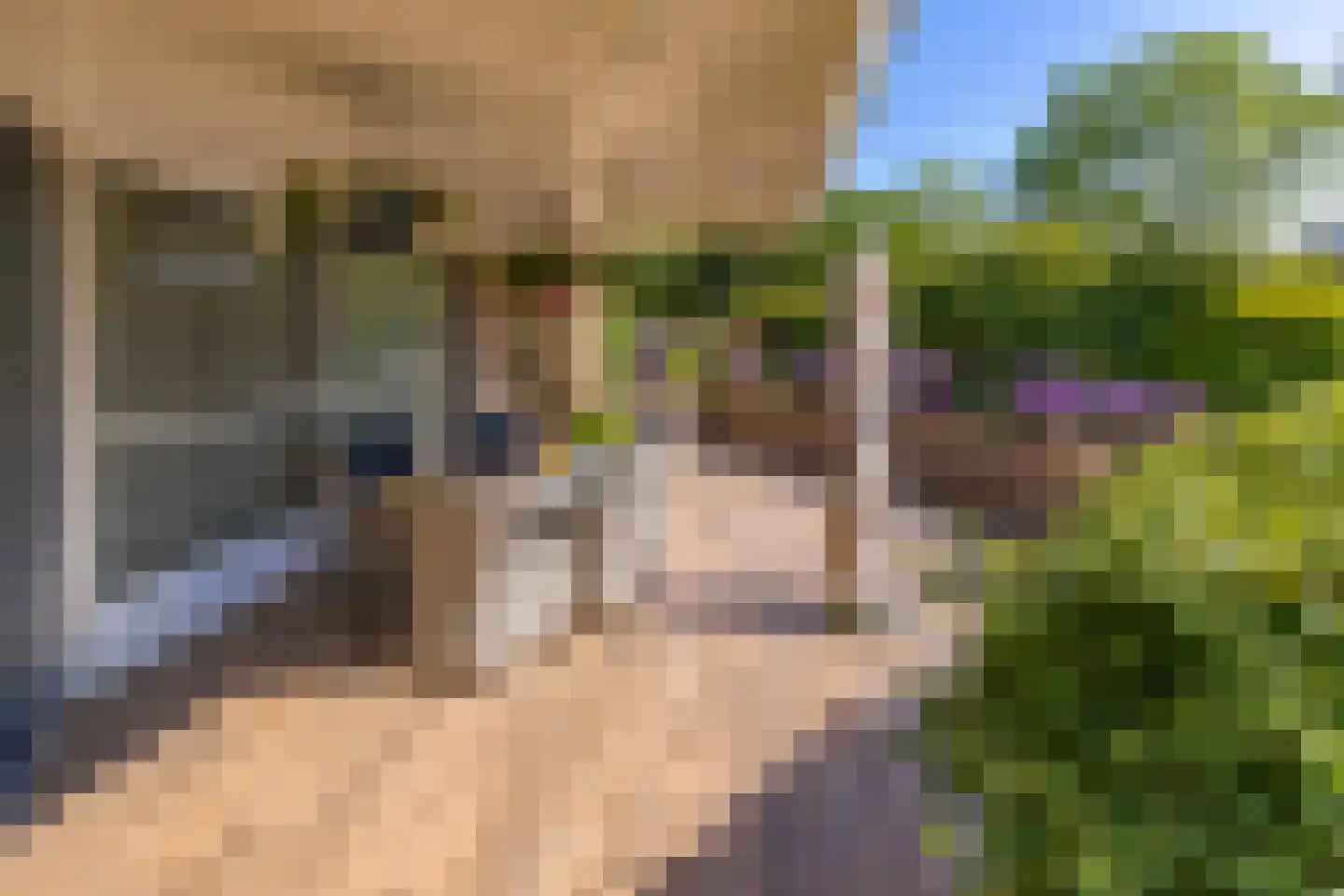 De Runde 13 Ter Apel thumbnail 46