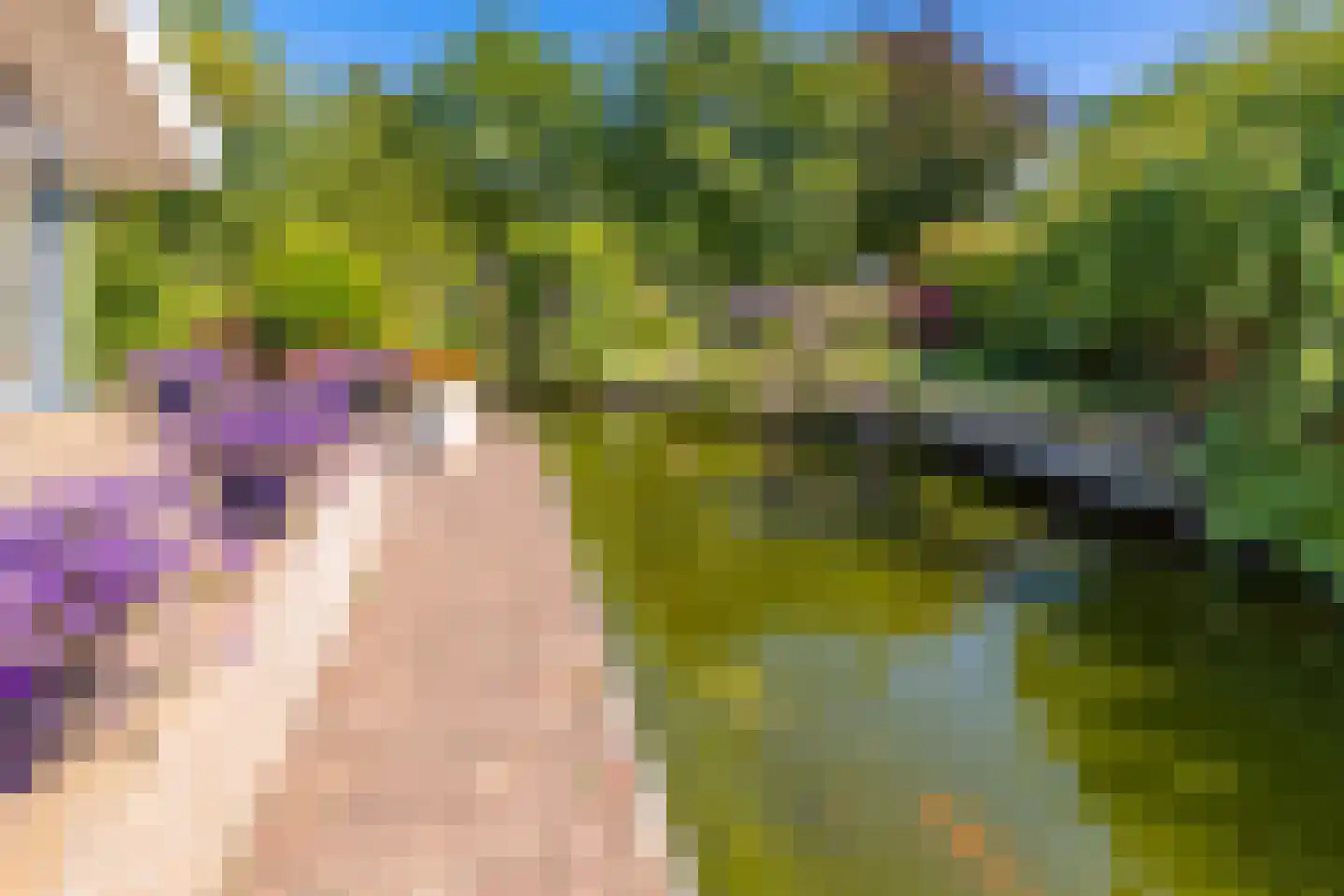 De Runde 13 Ter Apel thumbnail 51