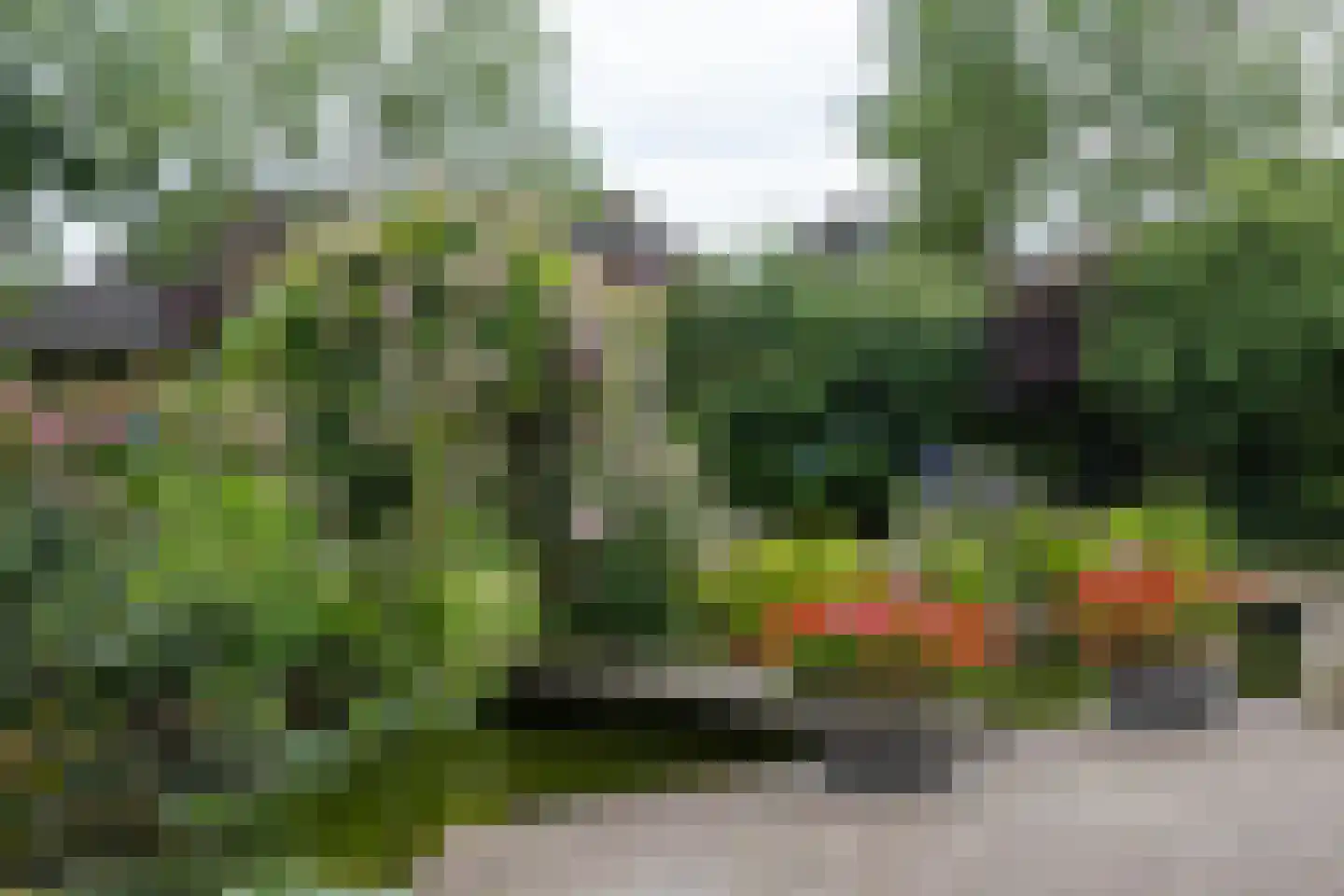De Runde 13 Ter Apel thumbnail 53