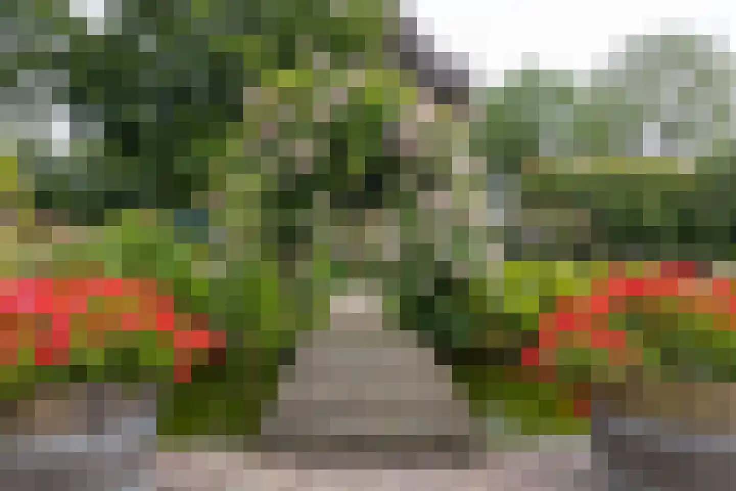 De Runde 13 Ter Apel thumbnail 54