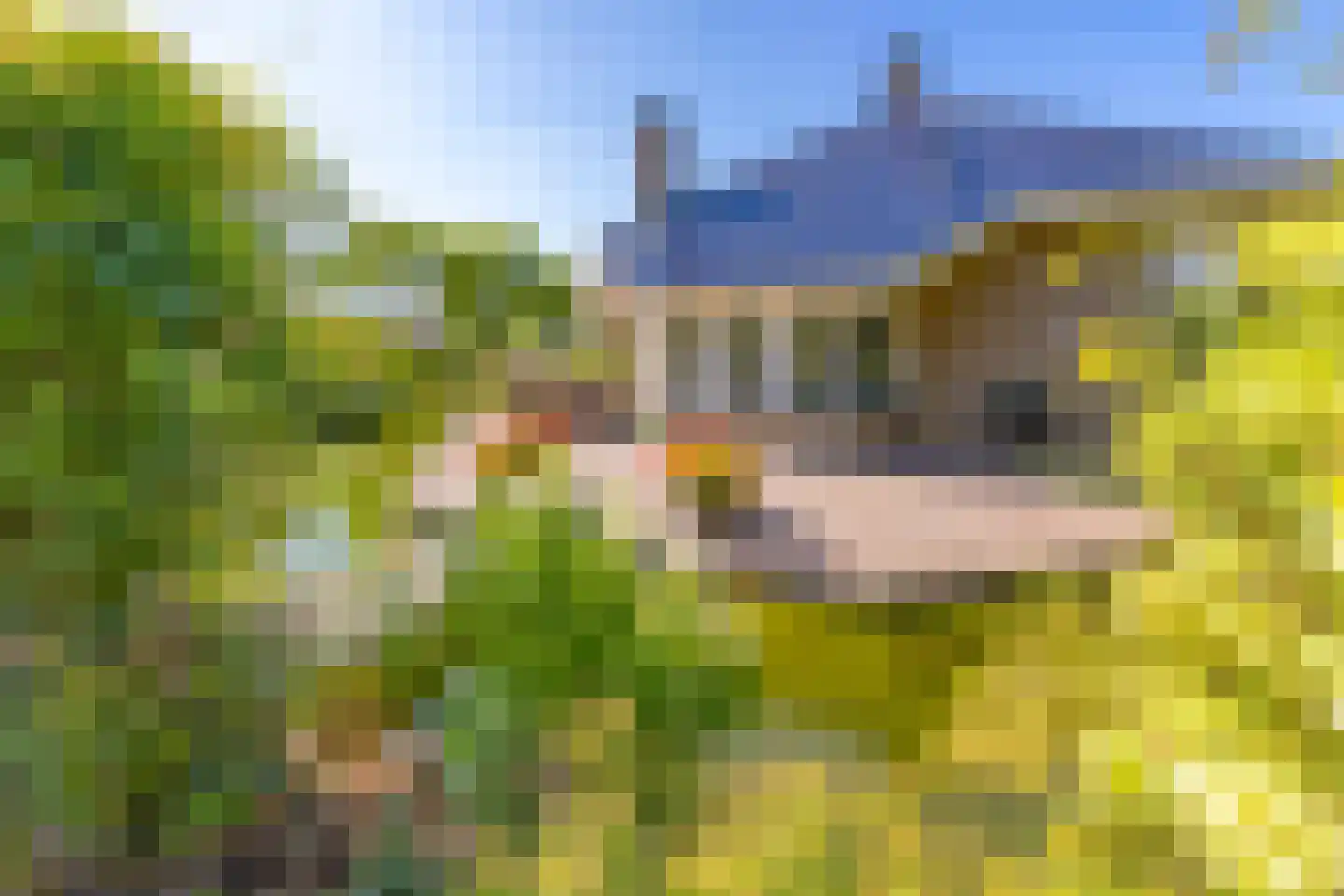 De Runde 13 Ter Apel thumbnail 55