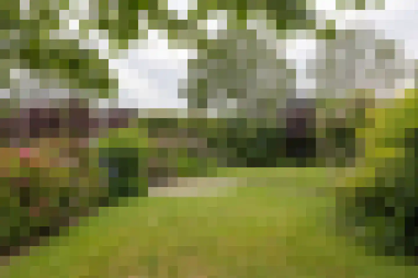 De Runde 13 Ter Apel thumbnail 57