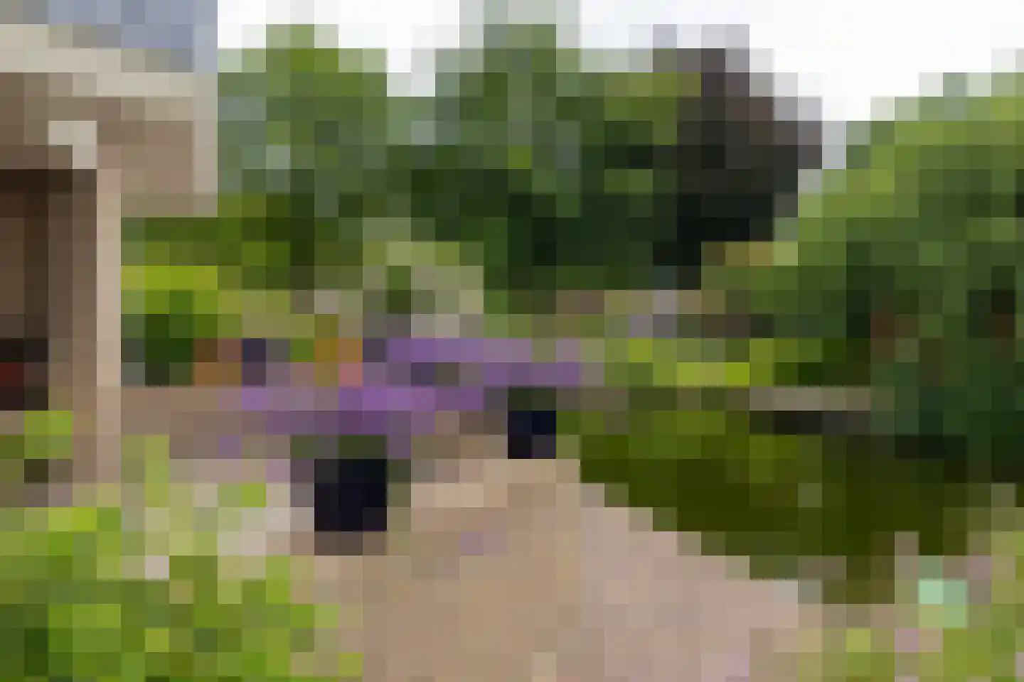 De Runde 13 Ter Apel thumbnail 60