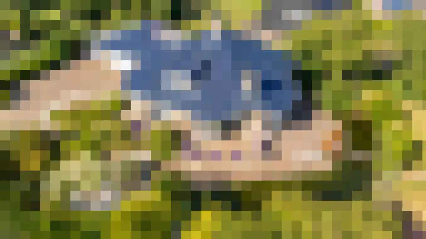 De Runde 13 Ter Apel thumbnail 63