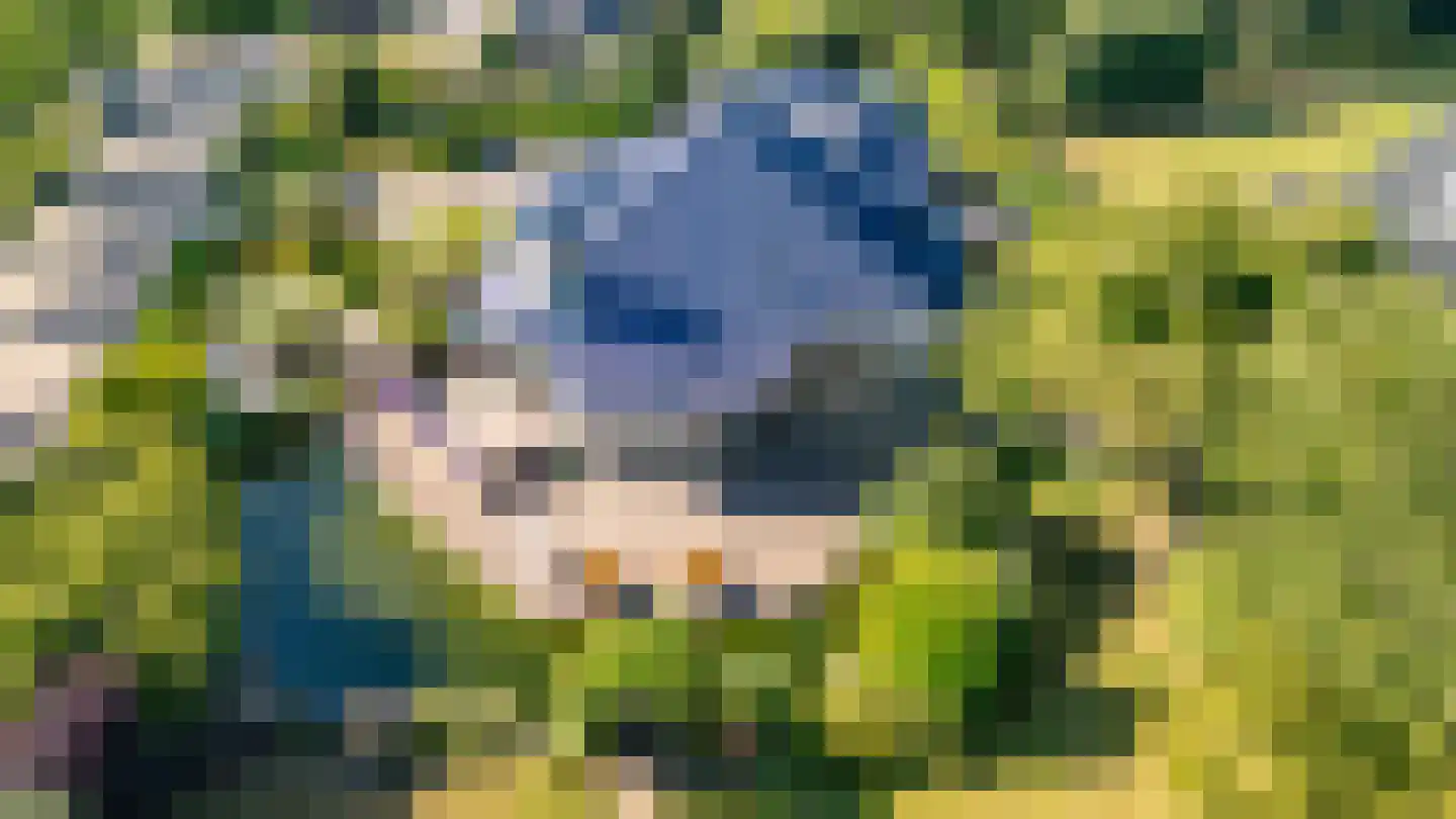De Runde 13 Ter Apel thumbnail 64