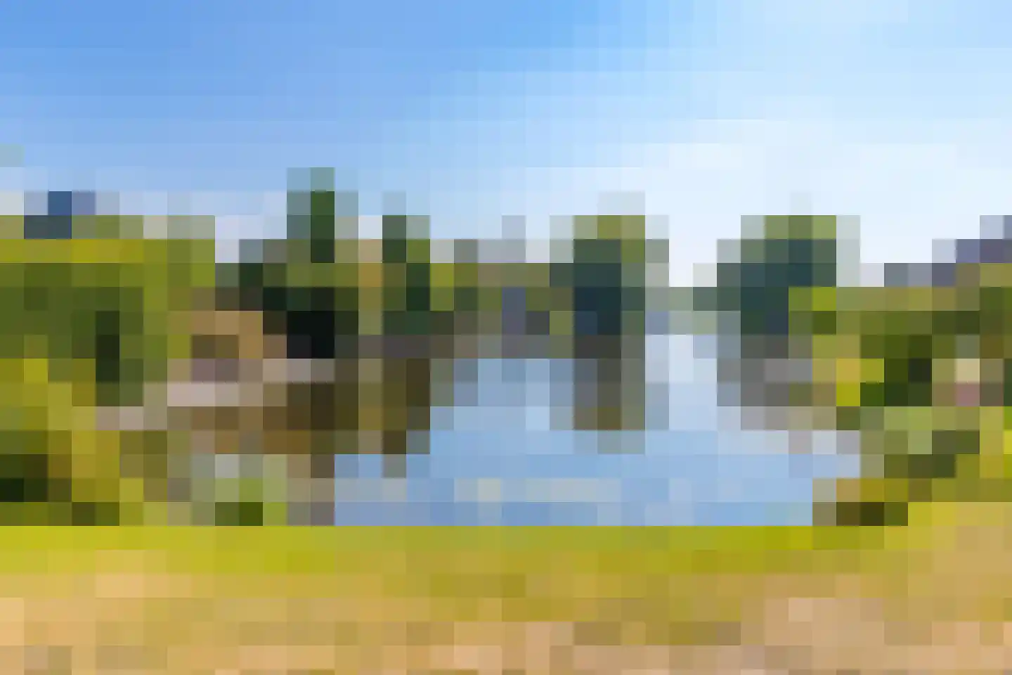 De Runde 13 Ter Apel thumbnail 65