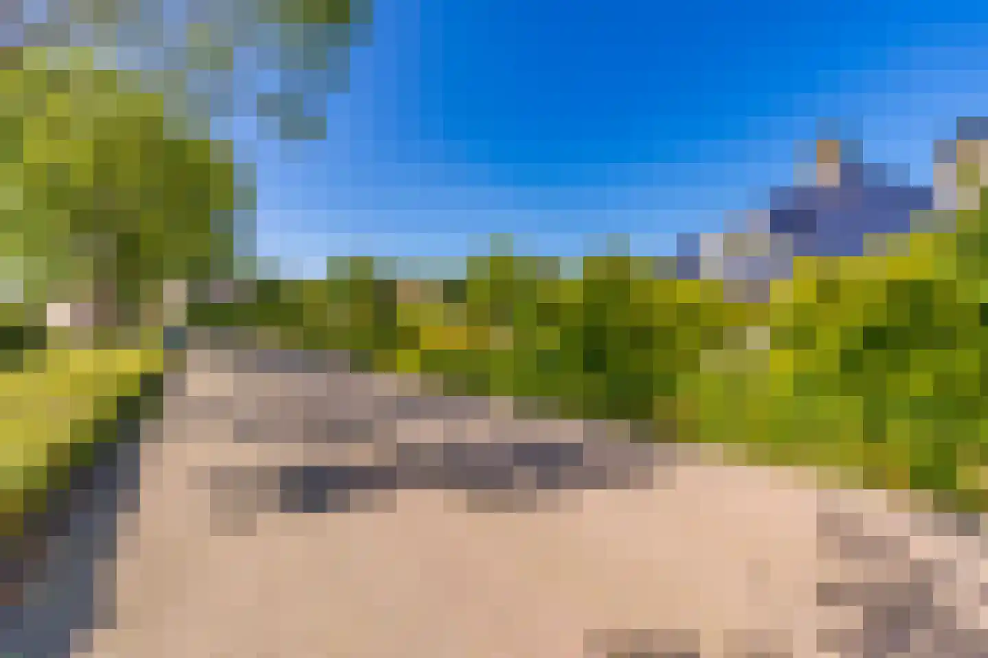 De Runde 13 Ter Apel thumbnail 9