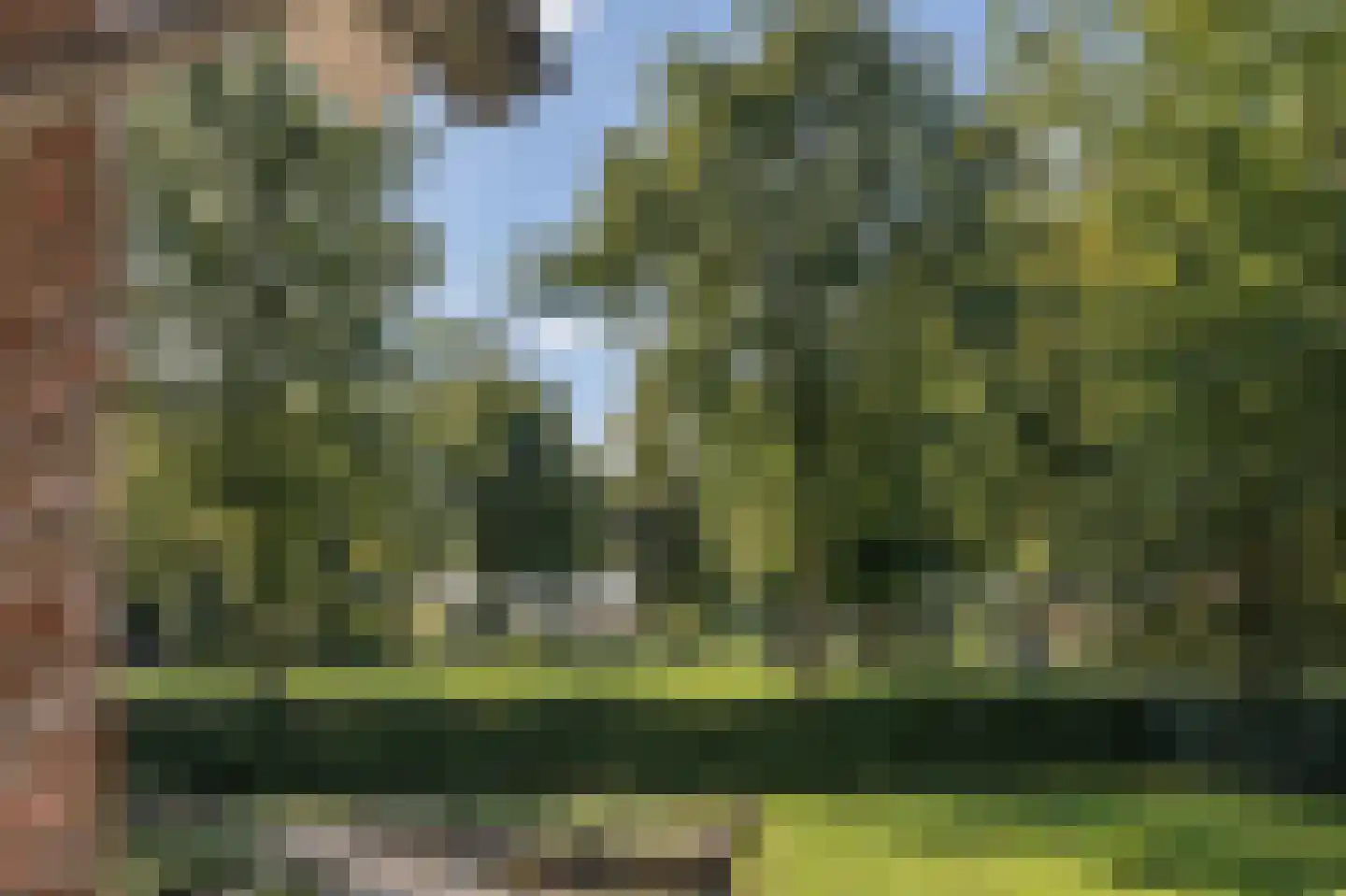 De Runde 15 Ter Apel thumbnail 14