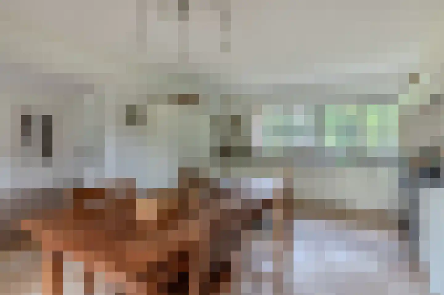 De Runde 15 Ter Apel thumbnail 30