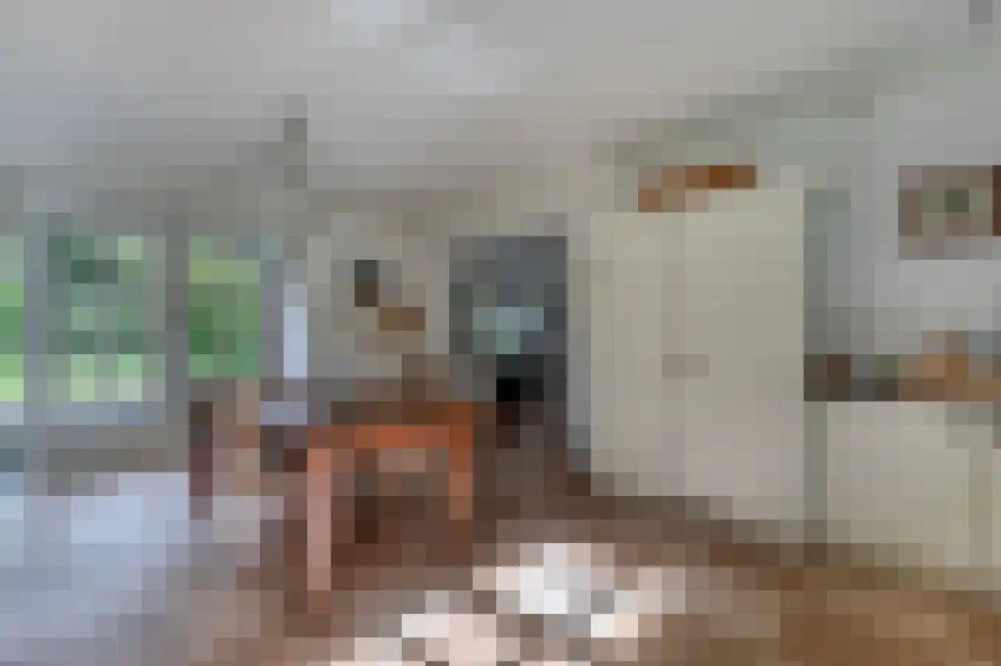 De Runde 15 Ter Apel thumbnail 33