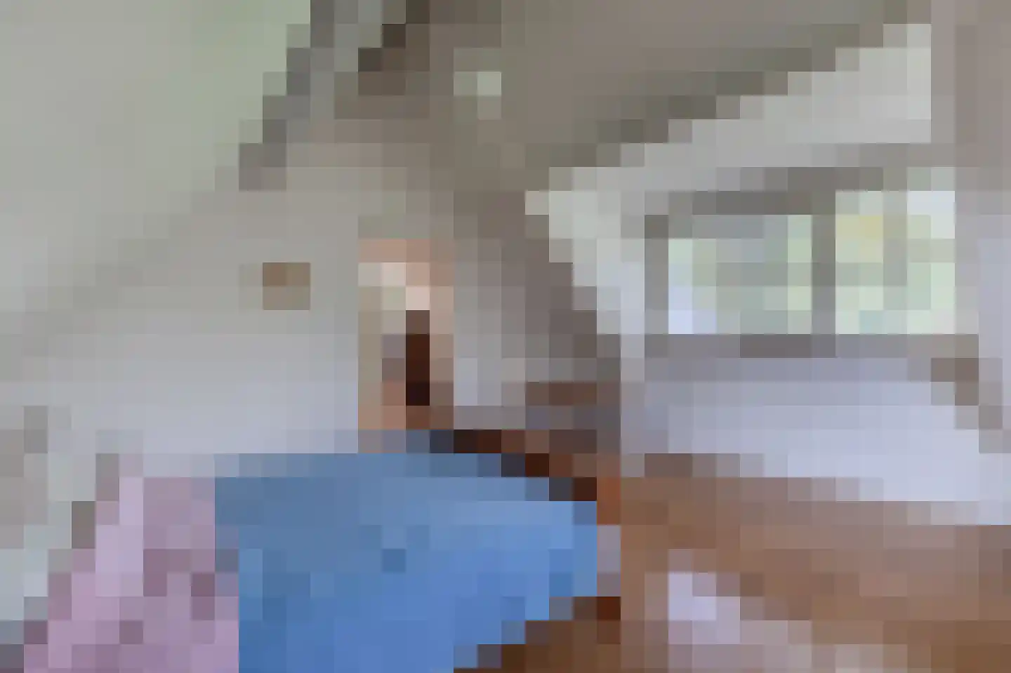 De Runde 15 Ter Apel thumbnail 45