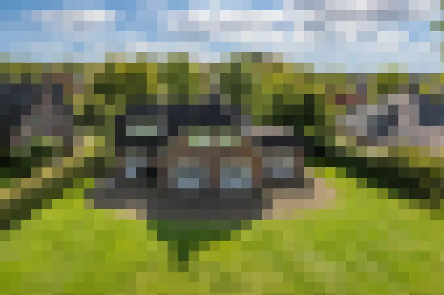 De Runde 15 Ter Apel thumbnail 49