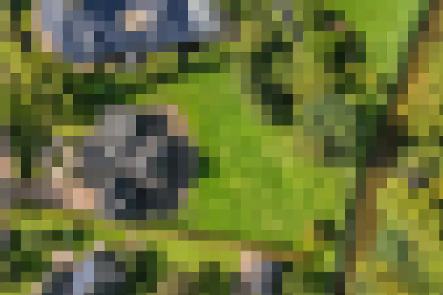 De Runde 15 Ter Apel thumbnail 52