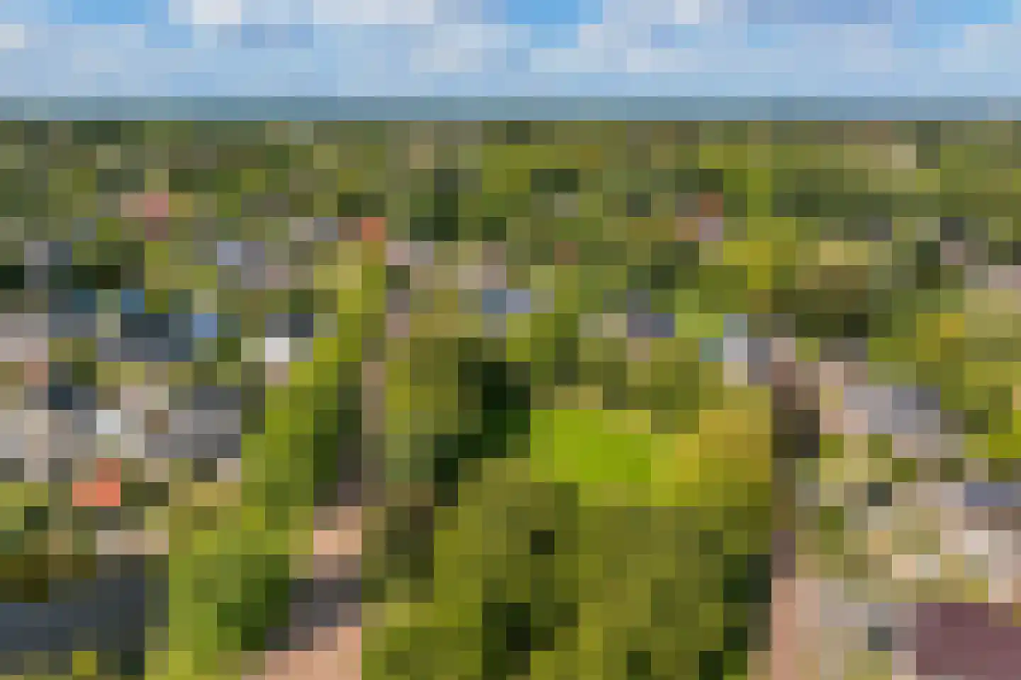 De Runde 15 Ter Apel thumbnail 54