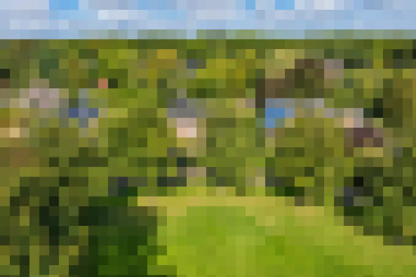 De Runde 15 Ter Apel thumbnail 55