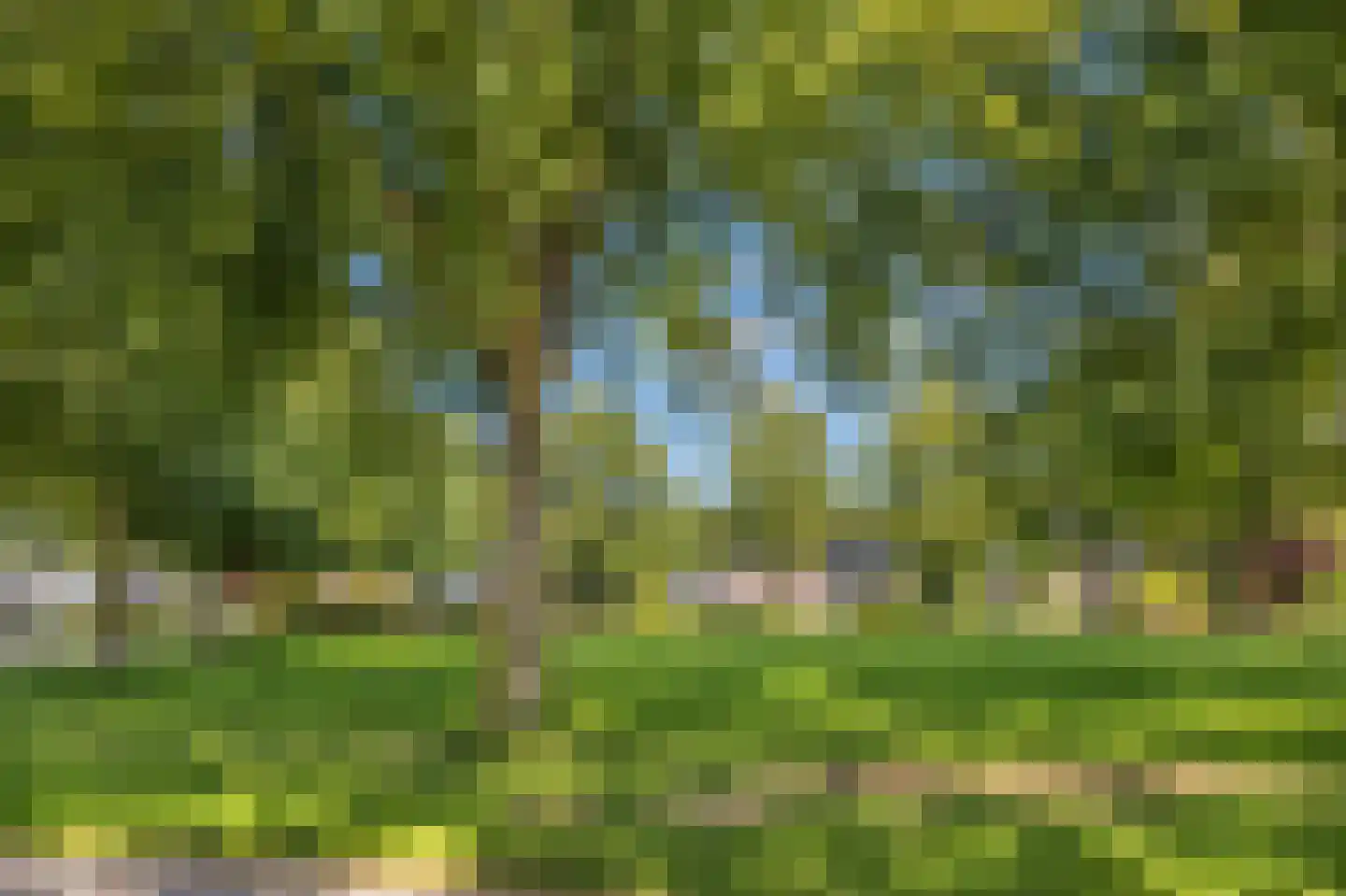 De Runde 15 Ter Apel thumbnail 56