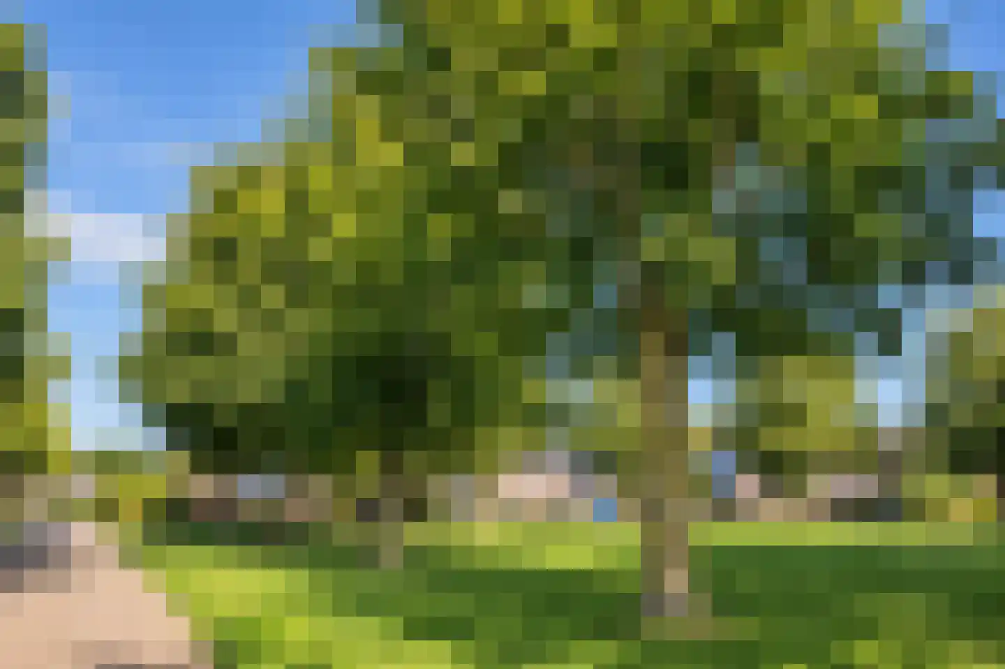 De Runde 15 Ter Apel thumbnail 58
