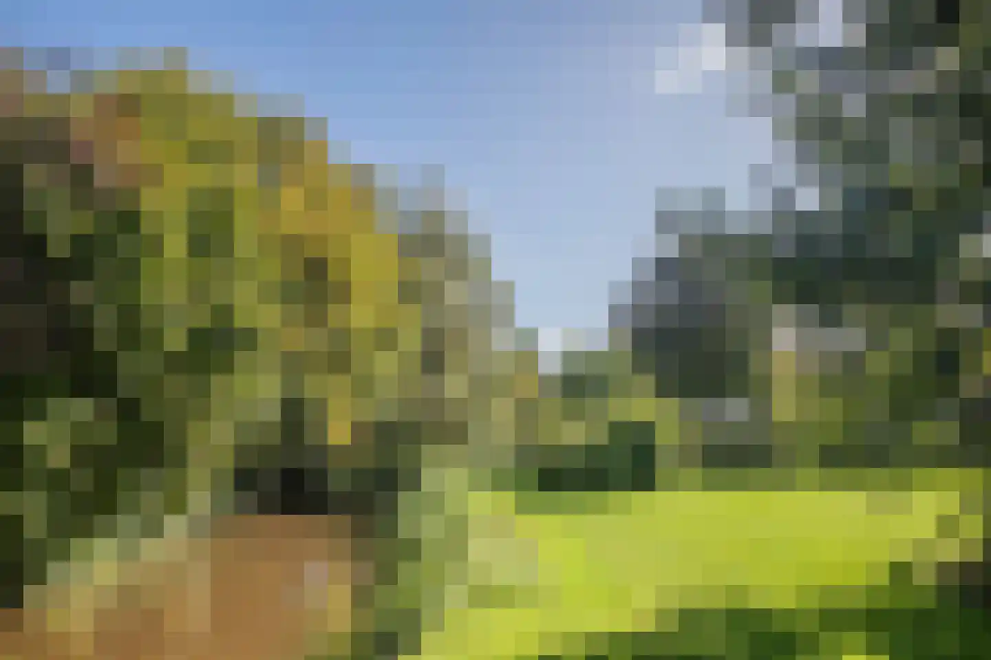 De Runde 15 Ter Apel thumbnail 59