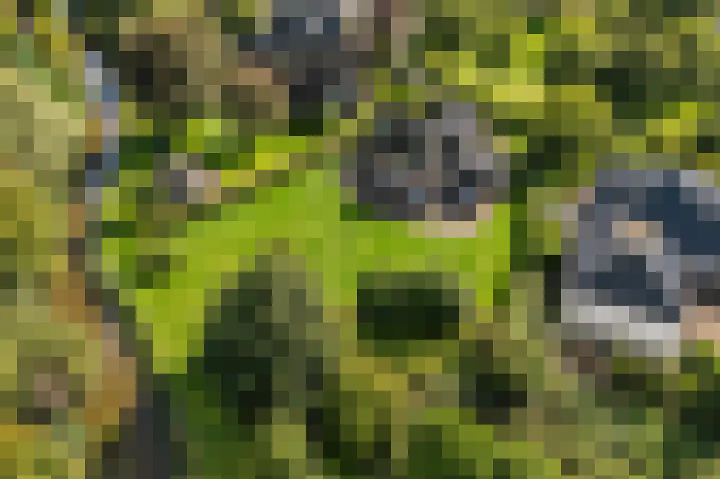 De Runde 15 Ter Apel thumbnail 60