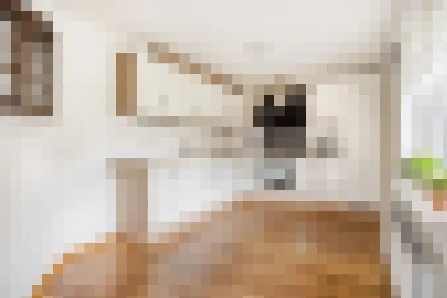 De Runde 2 Ter Apel thumbnail 14