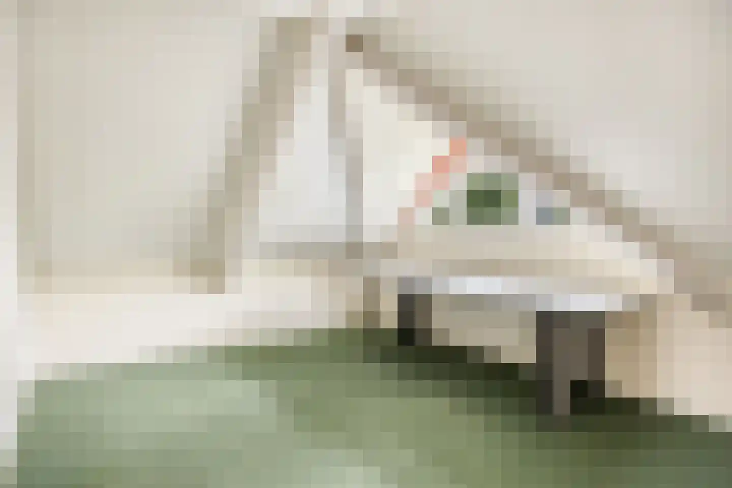 De Runde 2 Ter Apel thumbnail 28