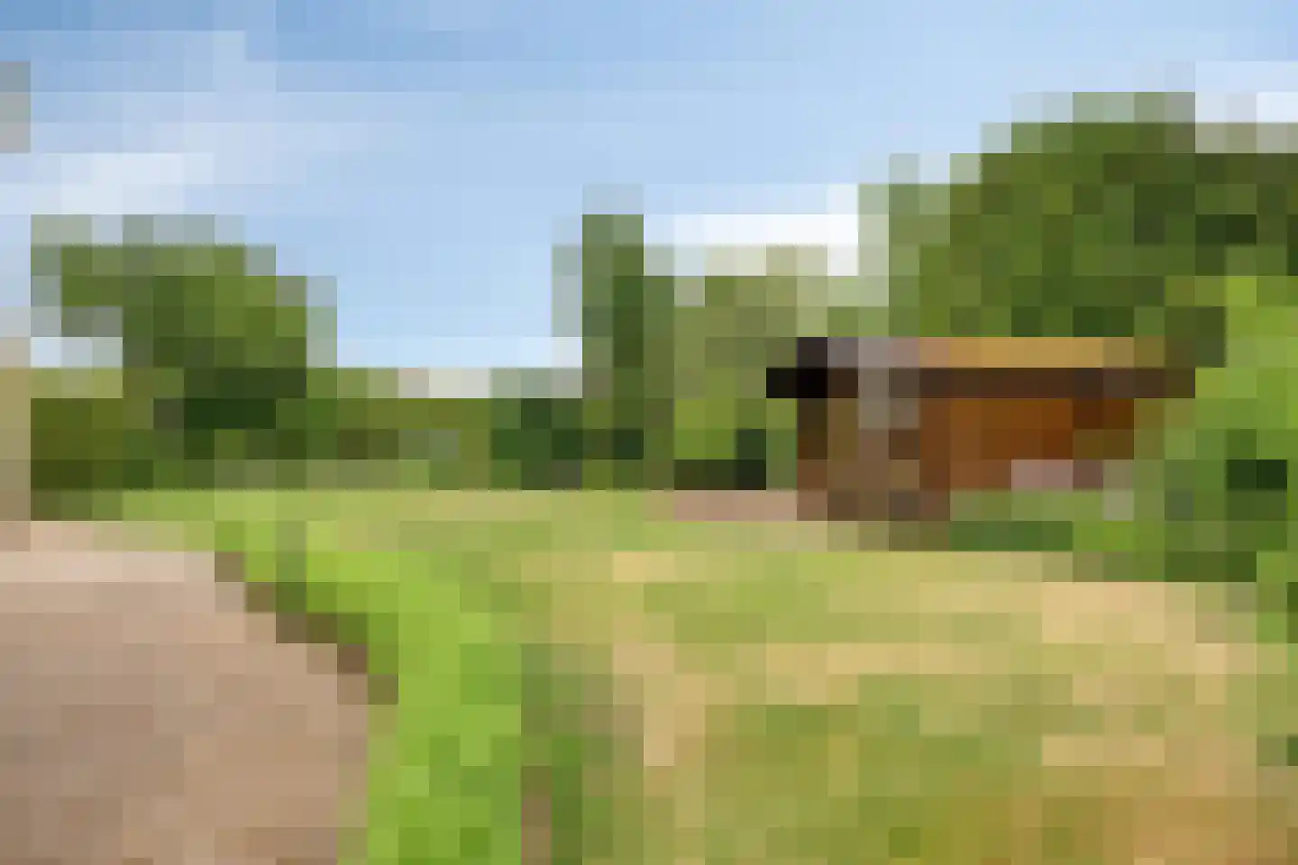 De Runde 2 Ter Apel thumbnail 33
