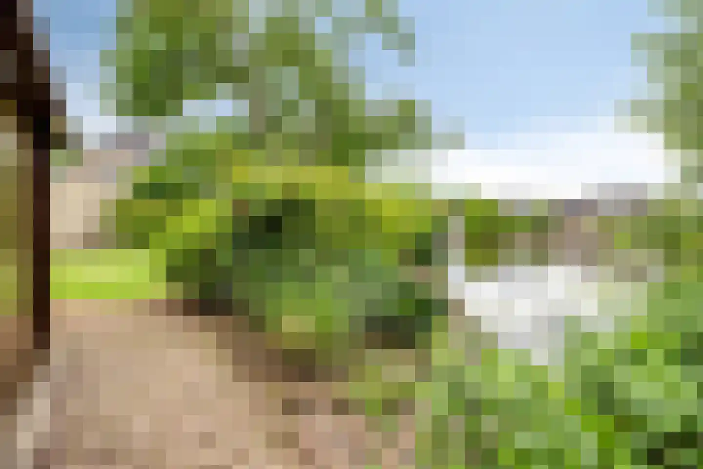 De Runde 2 Ter Apel thumbnail 35