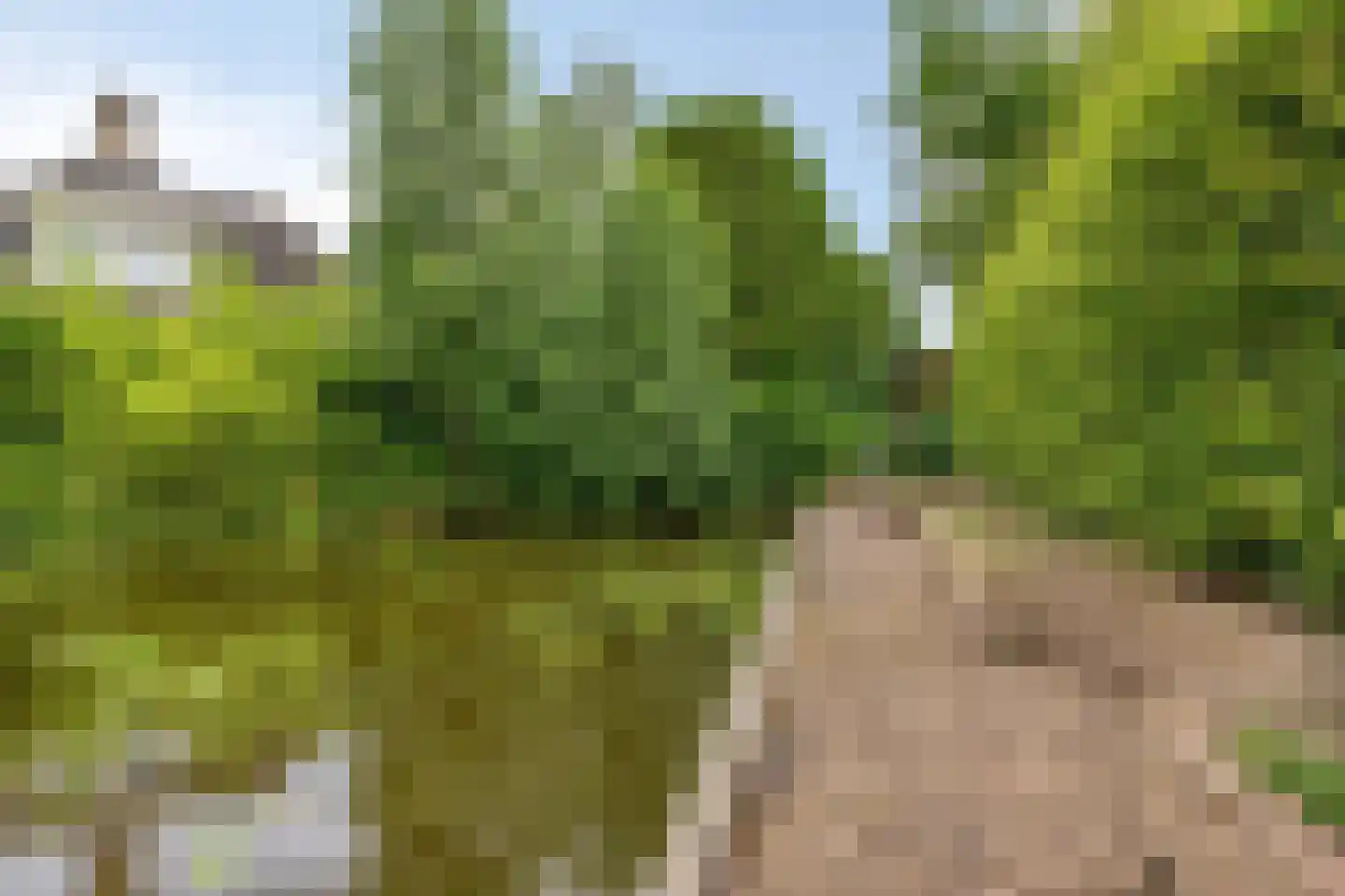 De Runde 2 Ter Apel thumbnail 37