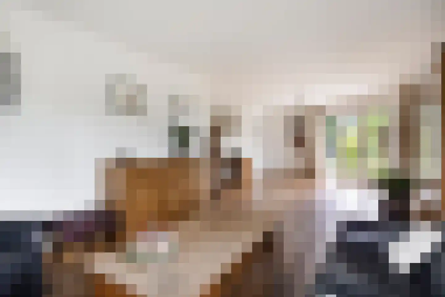 De Runde 2 Ter Apel thumbnail 8