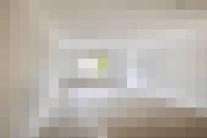De Rungraaf 26 Eindhoven thumbnail 5