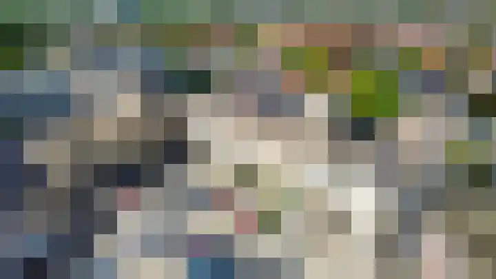 De Rungraaf 26 Eindhoven thumbnail 8