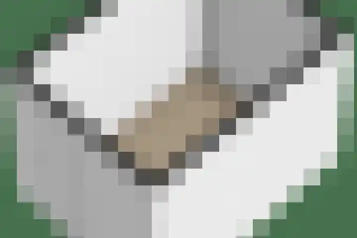 De Rungraaf 4 Eindhoven thumbnail 53