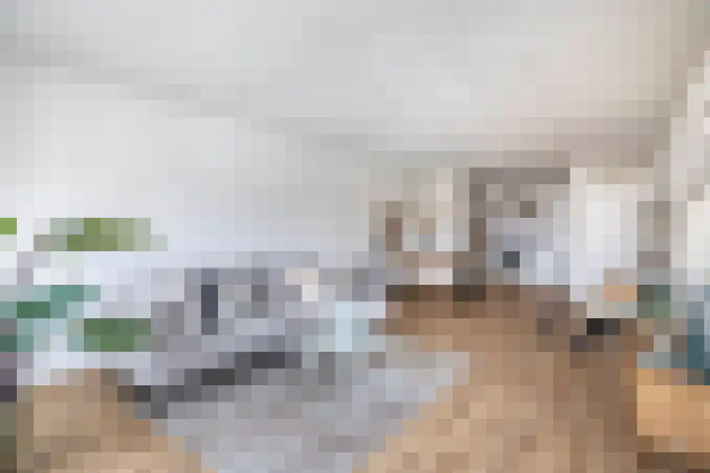 De Rungraaf 42 Eindhoven thumbnail 15
