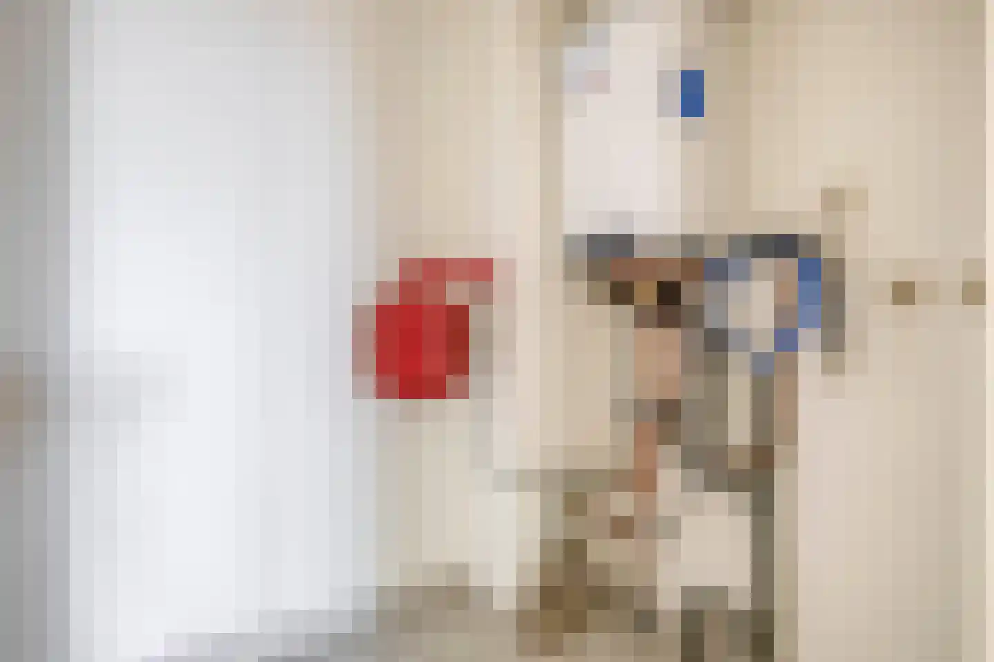 De Rungraaf 42 Eindhoven thumbnail 33