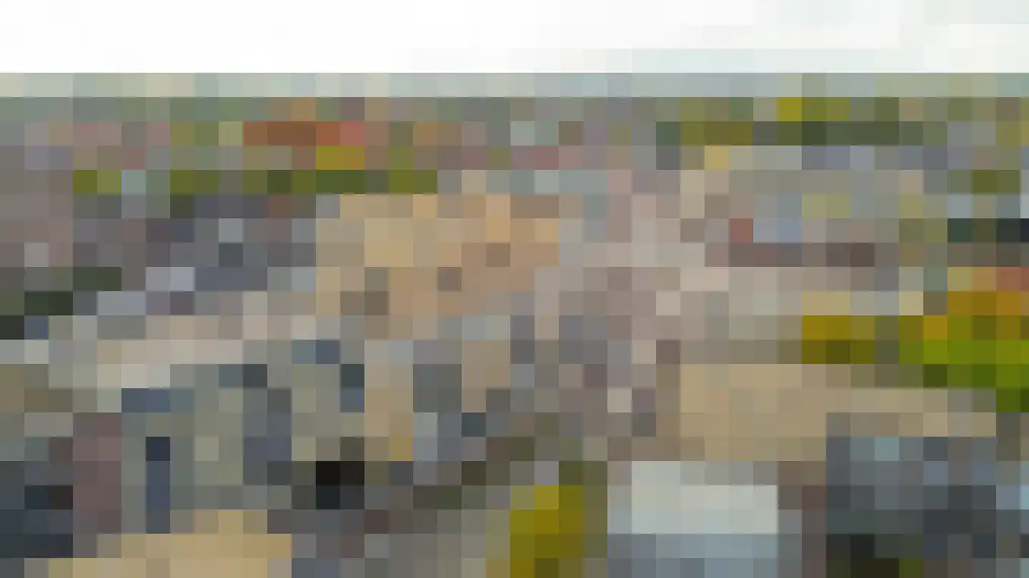 De Rungraaf 42 Eindhoven thumbnail 39