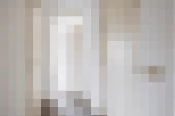 De Rungraaf 46 Eindhoven thumbnail 13