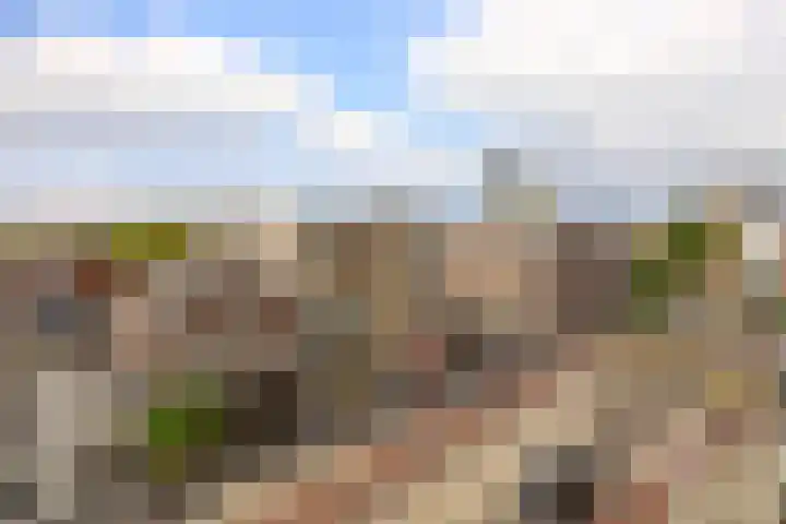 De Rungraaf 46 Eindhoven thumbnail 26