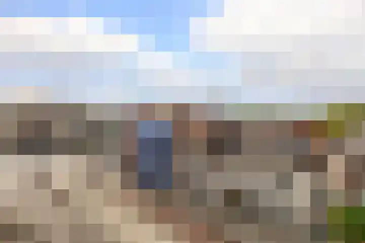 De Rungraaf 46 Eindhoven thumbnail 27