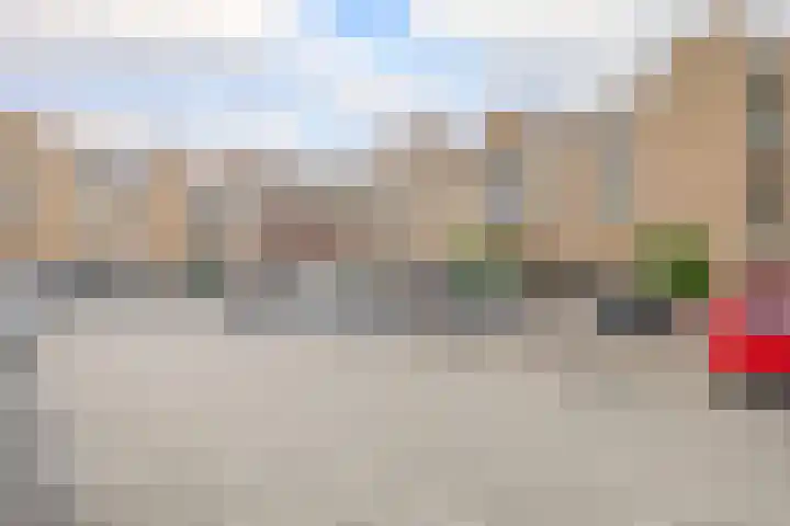 De Rungraaf 46 Eindhoven thumbnail 5