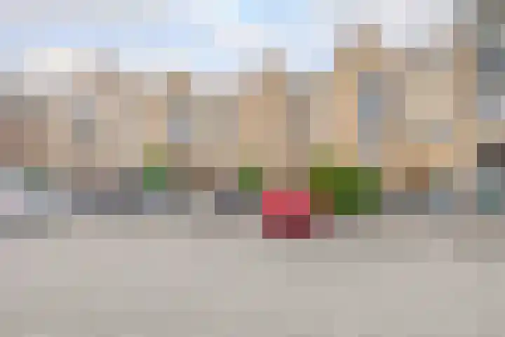 De Rungraaf 46 Eindhoven thumbnail 7