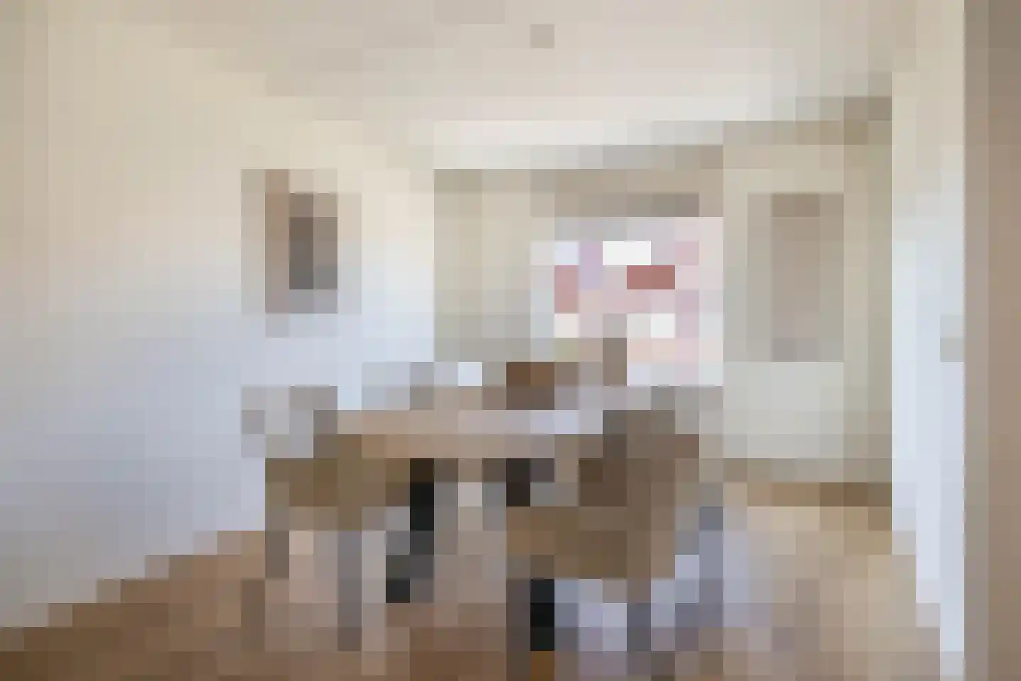 De Rungraaf 60 Eindhoven thumbnail 18