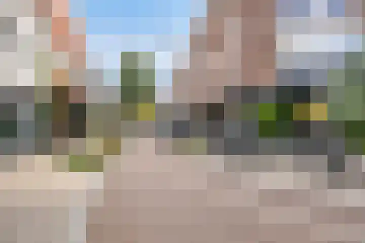 De Rungraaf 7 Eindhoven thumbnail 13