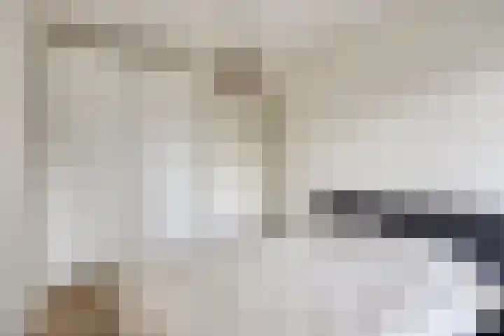 De Rungraaf 7 Eindhoven thumbnail 9